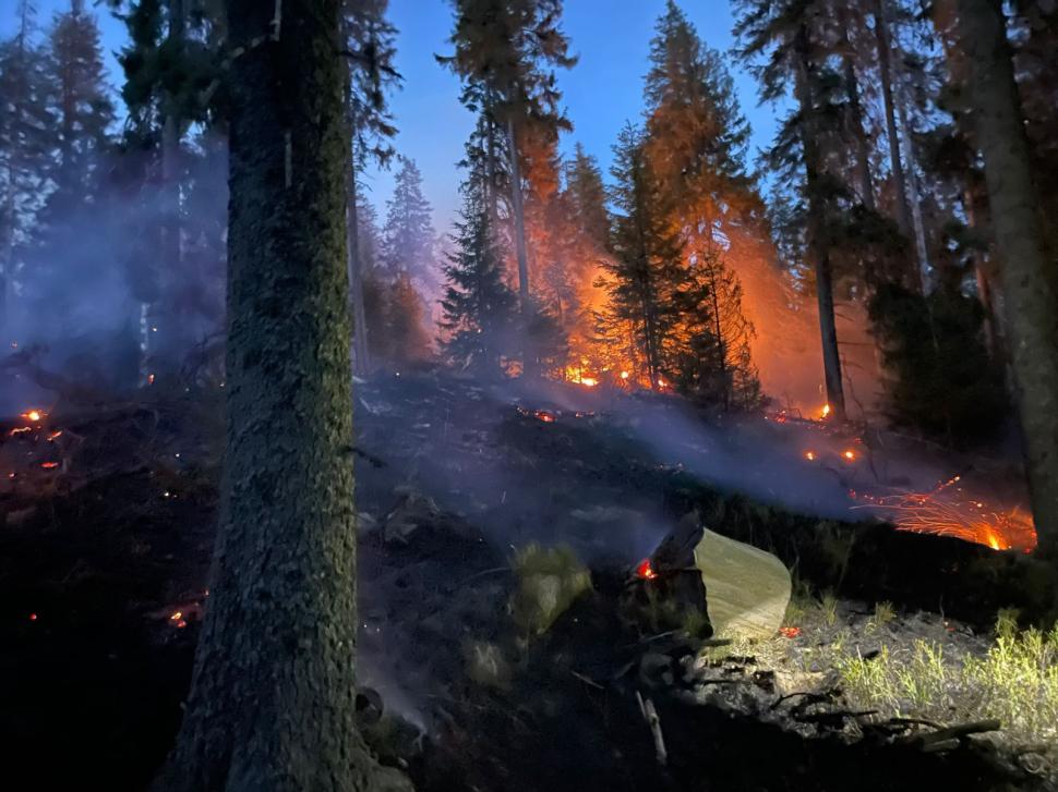 Un incendiu de pădure din zona Lăpuşna s-a extins pe circa 40 de hectare din cauza vântului 897636