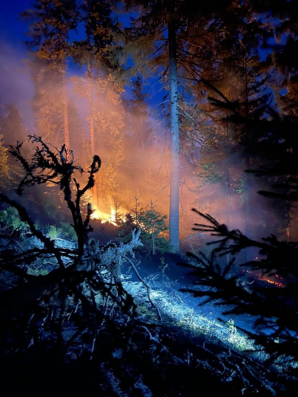 Un incendiu de pădure din zona Lăpuşna s-a extins pe circa 40 de hectare din cauza vântului 897638