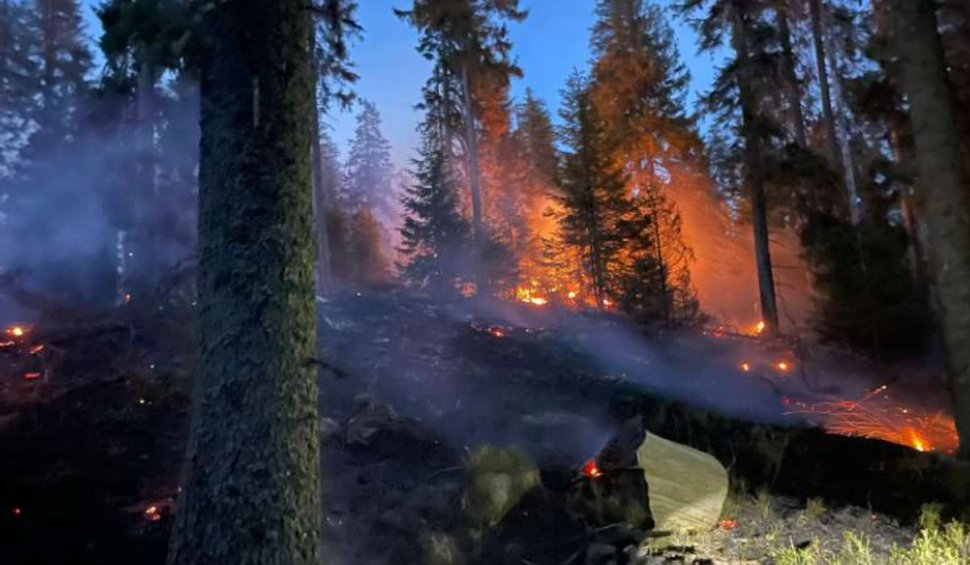 Un incendiu de pădure din zona Lăpuşna s-a extins pe circa 40 de hectare din cauza vântului