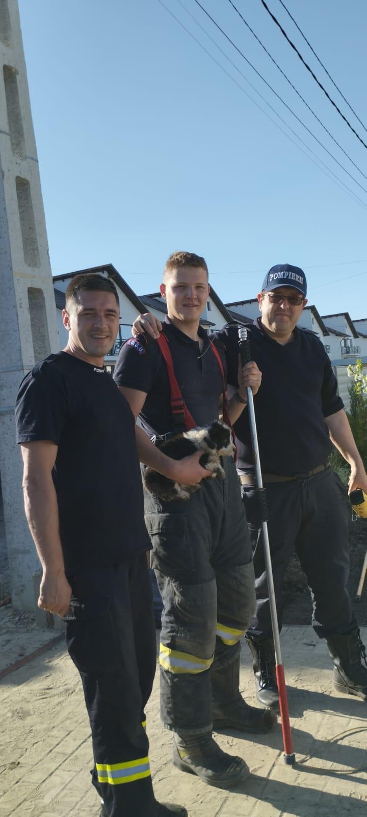 Un căţeluş căzut într-o fosă septică a fost salvat de trei pompieri din Suceava 897587