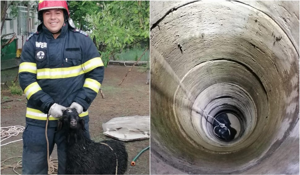 O căpriță căzută într-o fântână adâncă a fost salvată de pompierii din Giurgiu 