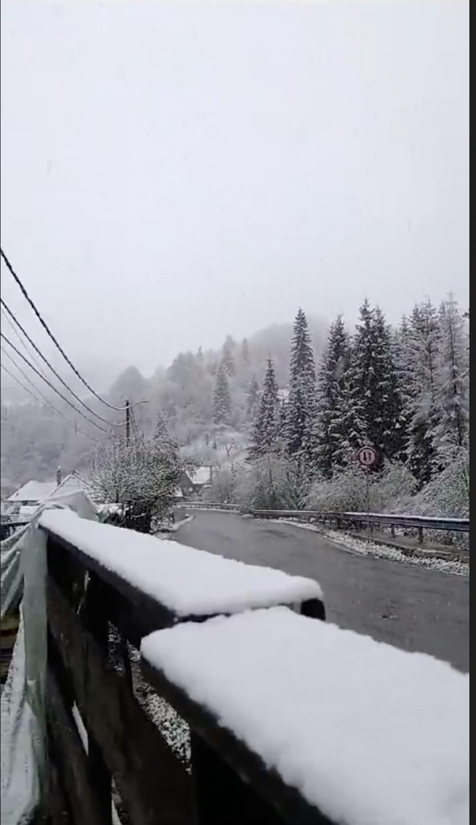 Iarna s-a întors în România! A nins puternic în mai multe zone ale țării, iar ANM anunță că precipitațiile se extind 897842