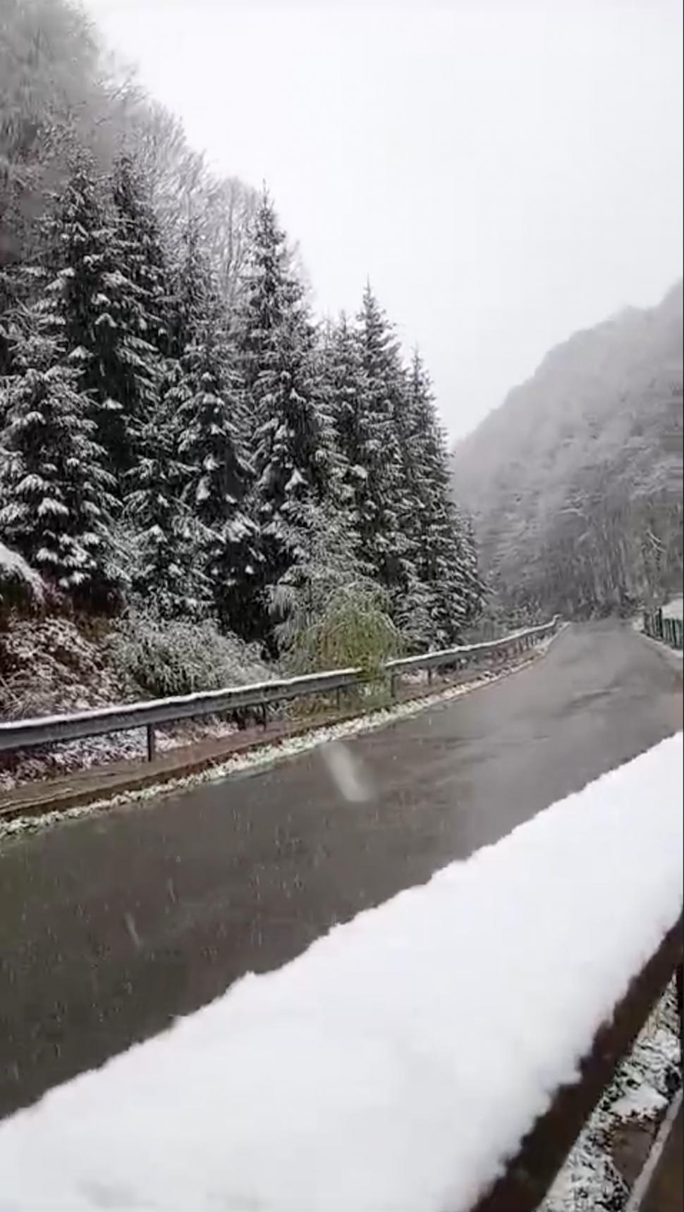 Iarna s-a întors în România! A nins puternic în mai multe zone ale țării, iar ANM anunță că precipitațiile se extind 897843