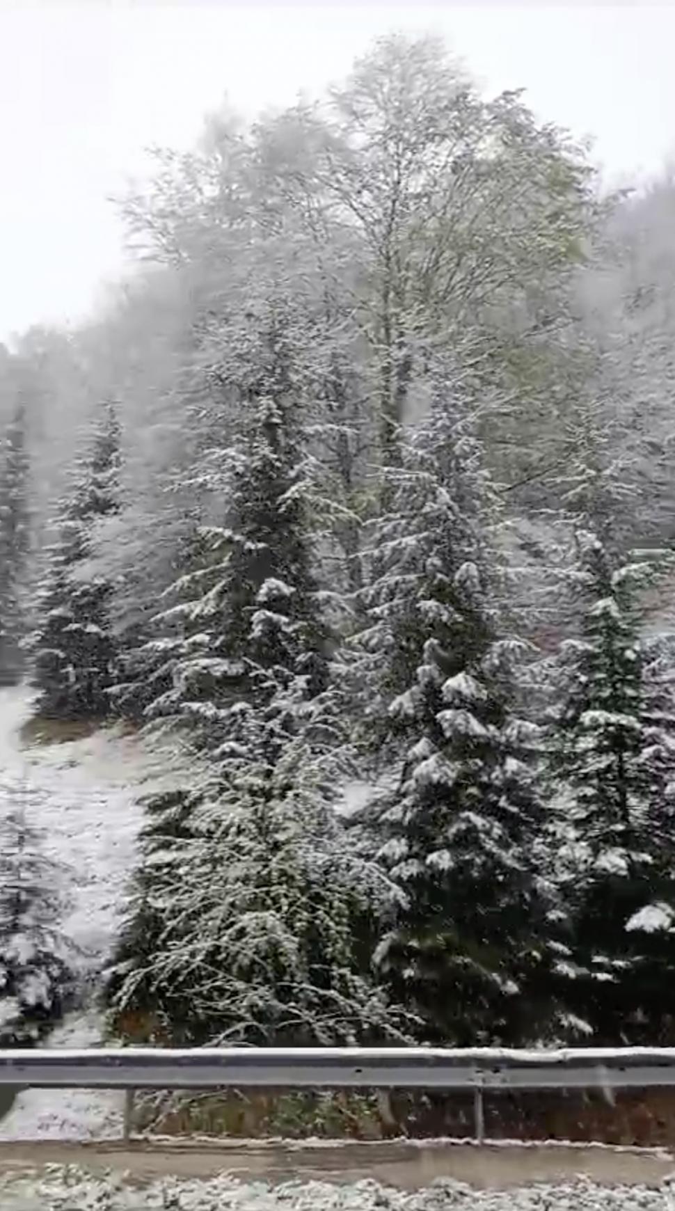 Iarna s-a întors în România! A nins puternic în mai multe zone ale țării, iar ANM anunță că precipitațiile se extind 897844