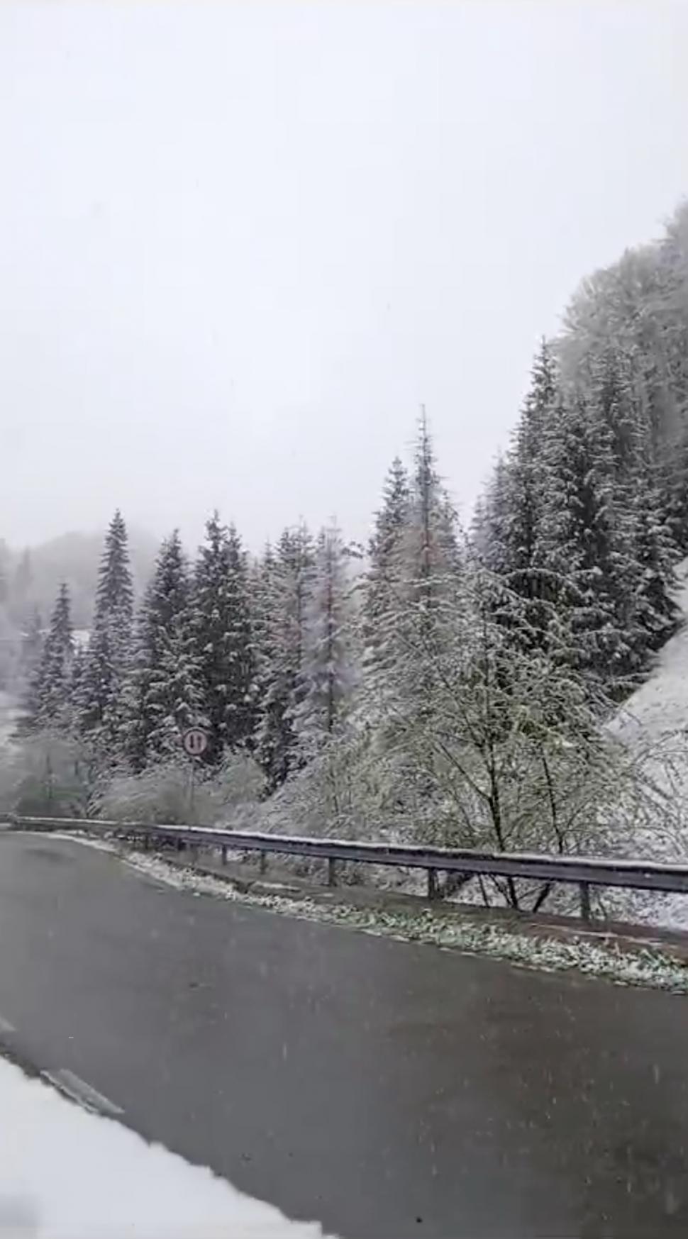 Iarna s-a întors în România! A nins puternic în mai multe zone ale țării, iar ANM anunță că precipitațiile se extind 897845