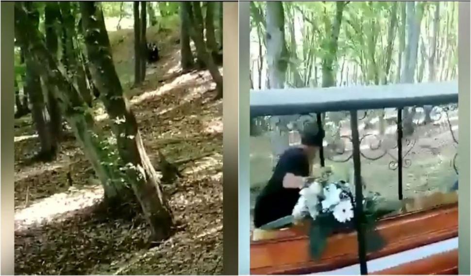 Oamenii care participau la o înmormântare, fugăriţi de un urs venit din pădure, în Mureş: "Ultima dată a venit şi mai aproape, atunci chiar am crezut că intră peste noi" 898240