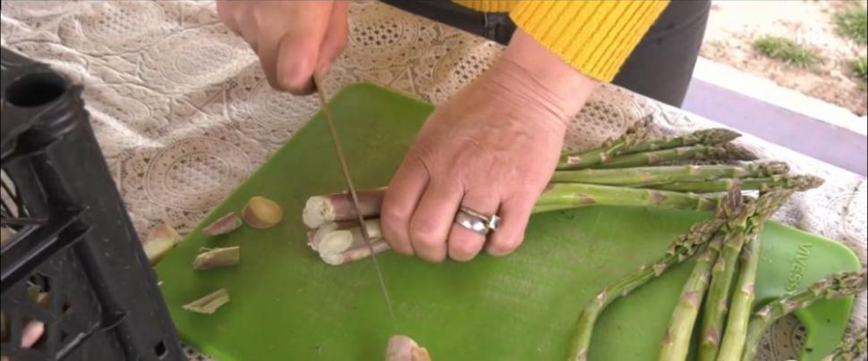 Afacerea cu care doi români din Bihor au dat lovitura. "Hrana regilor" se vinde cu 45 de lei/kg 898431