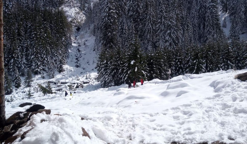 Nou strat de zăpadă de 25 de centimetri pe Valea Sâmbetei din Munţii Făgăraş