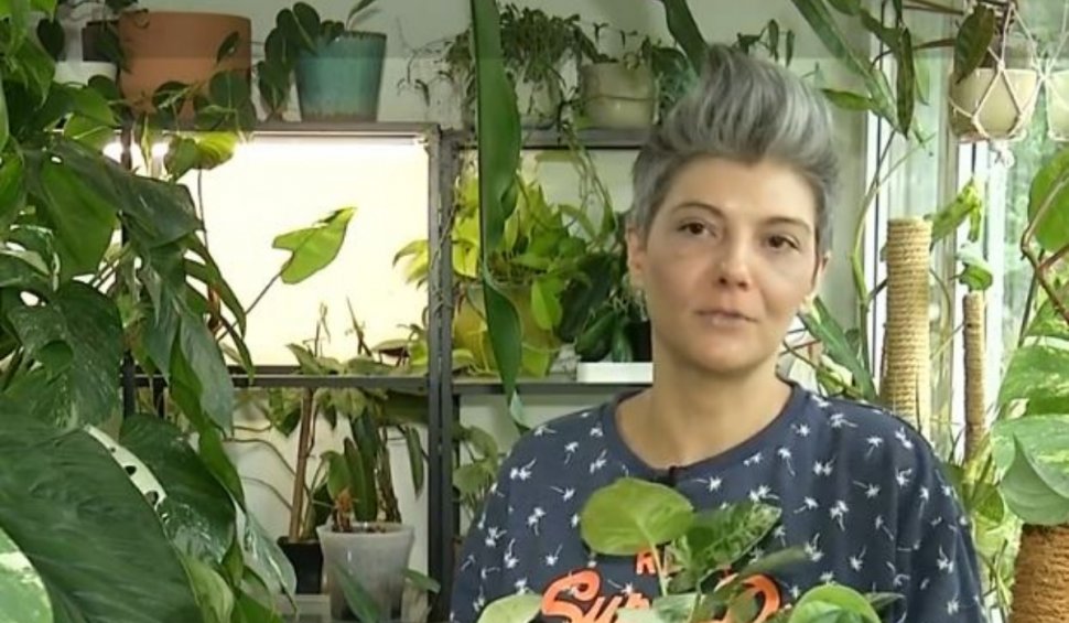 O femeie din Bucureşti şi-a transformat apartamentul în grădină botanică. Cum arată planta de 21.000 de euro