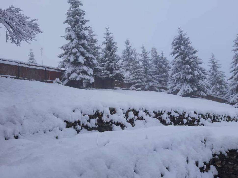 Ninge abundent în mai multe zone din ţară! Imagini cu zăpada care se aşterne spectaculos. Drumarii intervin cu utilajele de deszăpezire 898601