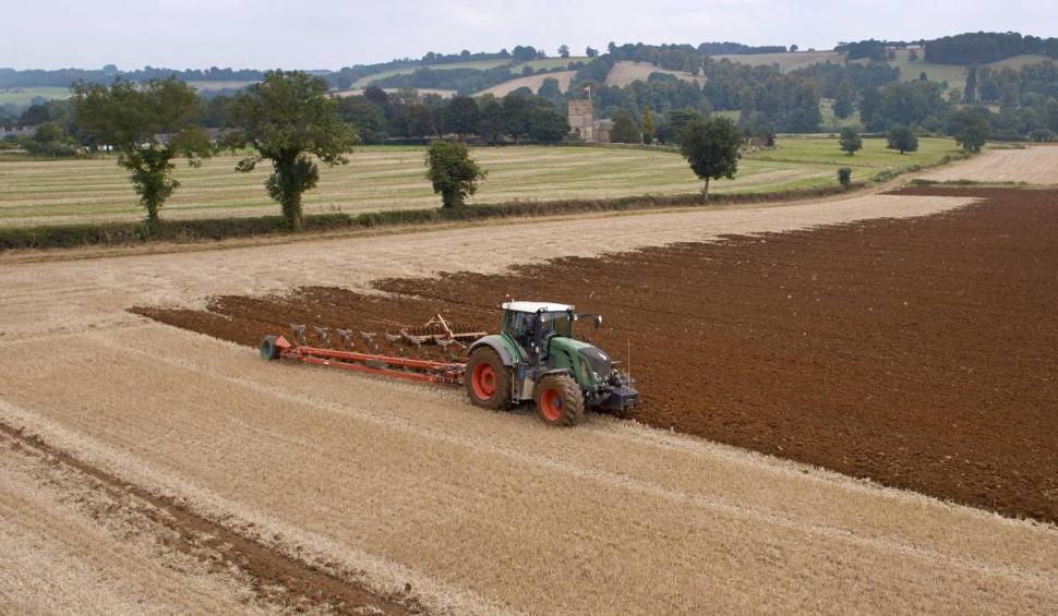 Afacerea care a devenit profitabilă pentru români: un singur kilogram costă 100 de lei | Prima dată s-a cultivat în România după Revoluţie 900042