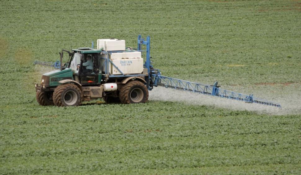 Afacerea care a devenit profitabilă pentru români: un singur kilogram costă 100 de lei | Prima dată s-a cultivat în România după Revoluţie 900047