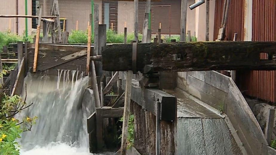 Vâltoarea, "mașina de spălat ecologică" care face concurență spălătoriilor: "Înainte de Paști, în special, multă lume vine să împrospăteze hainele, covoarele" 899795