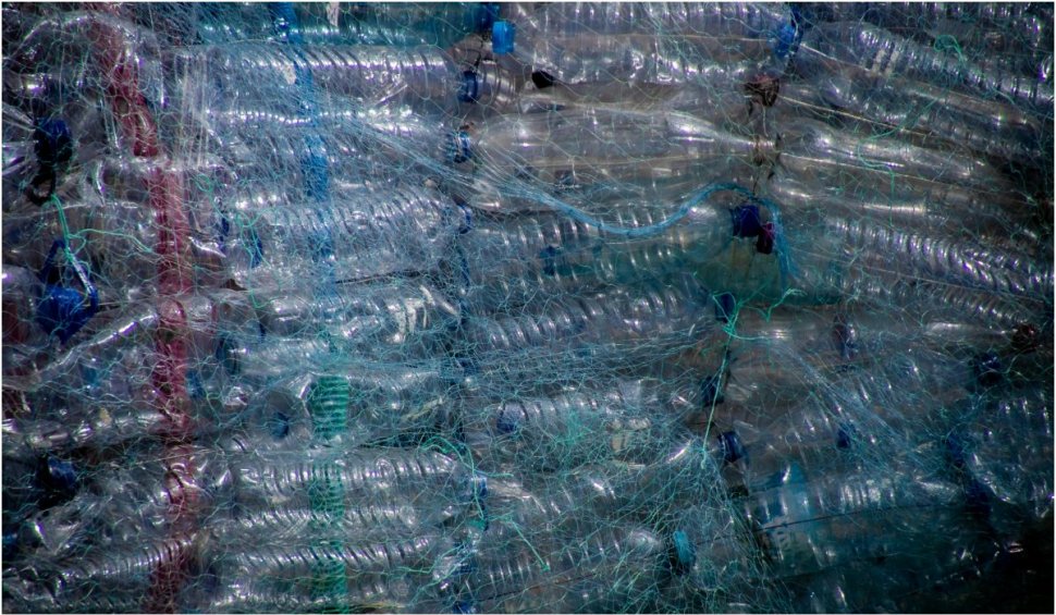 Oamenii de știință au descoperit soluția pentru a eradica deșeurile din plastic | "Plasticul viu" poate salva planeta