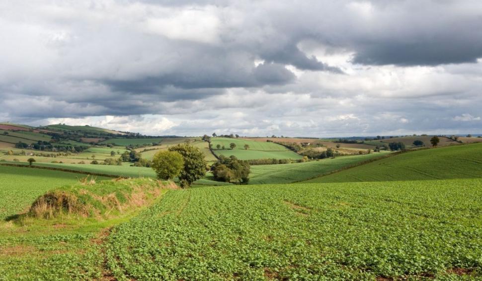 Reguli noi la vânzarea terenurilor. Impozitul obligatoriu fără care românii nu pot înstrăina bucăţile de pământ 900477