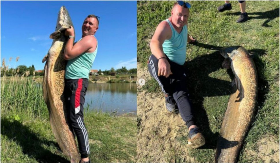 Pește uriaș capturat pe o baltă din vestul României | Are peste doi metri și de patru ani era în atenţia pescarilor
