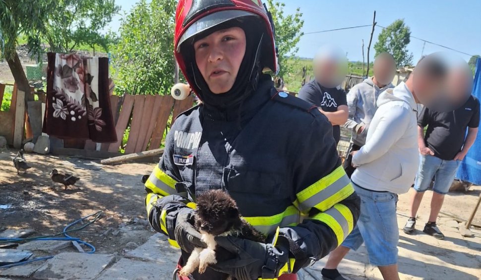 "A doua zi de Paște a venit cu o minune": Pompierii din Tulcea au salvat "doi căței pufoși și frumoși foc" dintr-o casă cuprinsă de incendiu