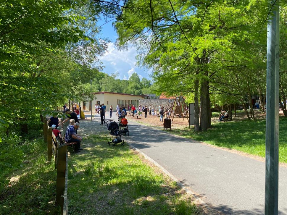 Animale noi, la Grădina Zoologică Sibiu: Imagini inedite cu cei doi lupi albi, gazela Oryx și ursul brun | "Noii locuitori s-au adaptat perfect" 900905