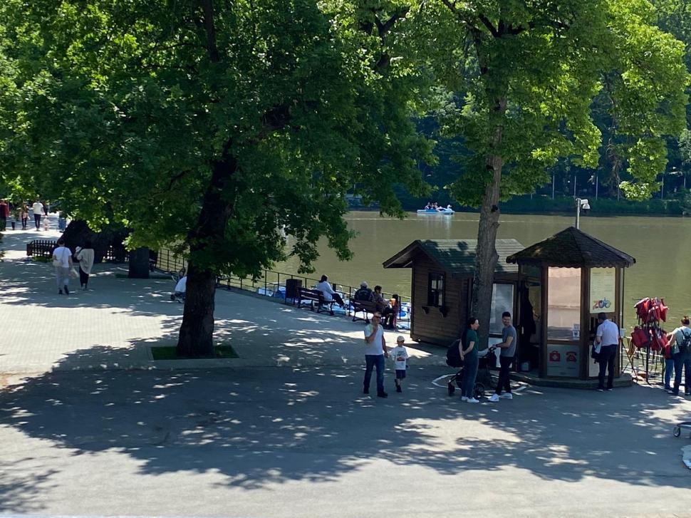 Animale noi, la Grădina Zoologică Sibiu: Imagini inedite cu cei doi lupi albi, gazela Oryx și ursul brun | "Noii locuitori s-au adaptat perfect" 900906