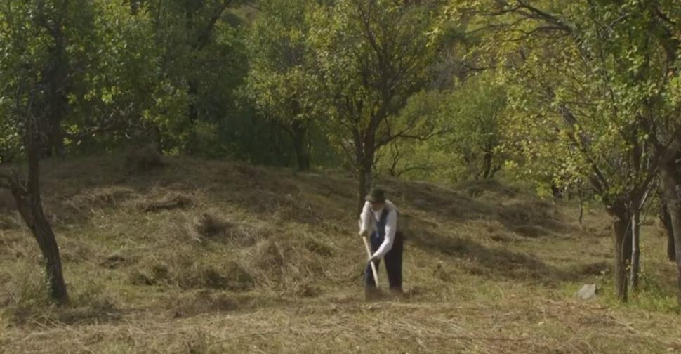 El este Gică Baciu, românul care a împlinit 102 ani. Oamenii îl vizitează pentru a afla secretul longevității sale 901039