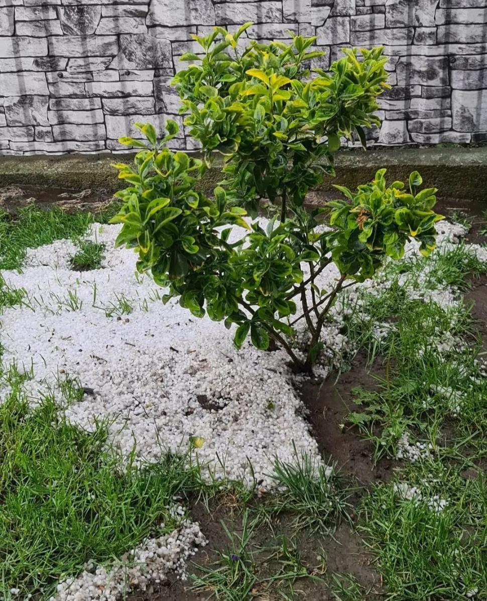 Vremea rea a făcut ravagii în țară: străzi inundate, case distruse | ”În 42 de ani, e prima oară când văd așa ceva. Mi-a distrus tot” 900970