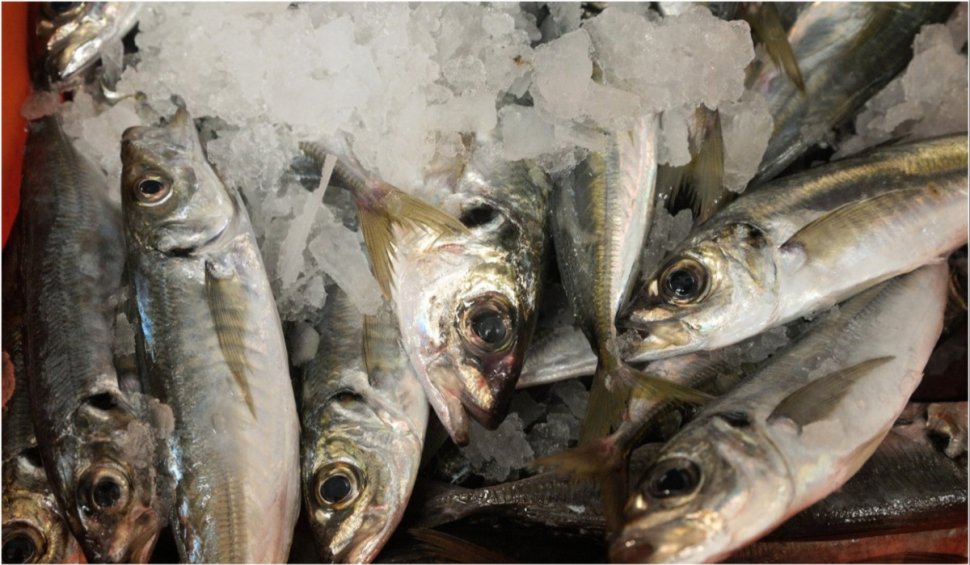 Peste 1,3 tone de pește și preparate din pește au fost retrase de la vânzare de comisarii ANPC