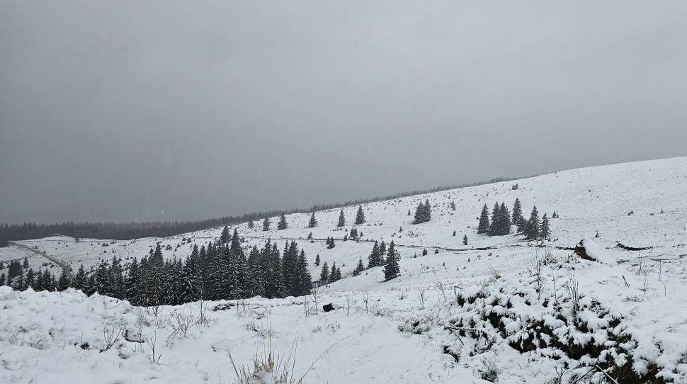"O zi plăcută, de la Rânca" | Ninge în toiul lunii mai, pe Transalpina. Avertisment pentru șoferi 902312