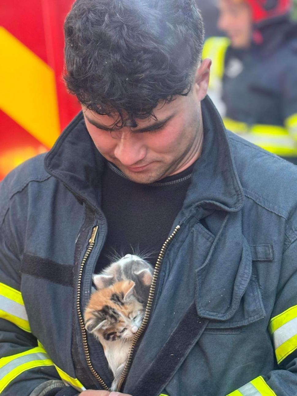 "Respect, oameni buni!". Doi pui de pisică, salvați de pompierii din Constanţa. Au rămas captivi în țevile de la subsolul unui bloc 902576