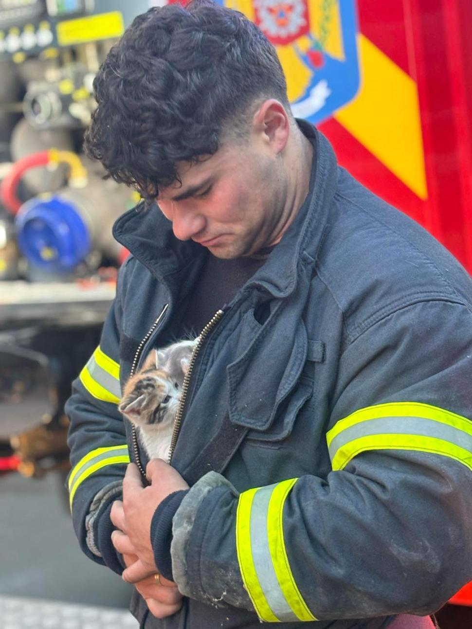 "Respect, oameni buni!". Doi pui de pisică, salvați de pompierii din Constanţa. Au rămas captivi în țevile de la subsolul unui bloc 902577