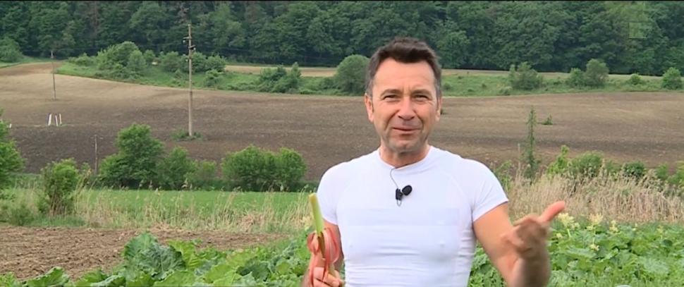 Afacerea de succes a unui român care cultivă planta ce l-a uimit pe Regele Charles. "Poate fi consumată ca atare sau făcută compot, gem, sos pentru mâncare" 902841