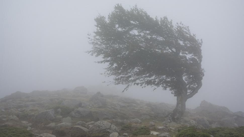 Ciclonul care a făcut ravagii în Europa se apropie de România. ANM: "Ploi puternice şi vijelii, în următoare perioadă. Va fi un grad ridicat de instabilitate atmosferică" 902874