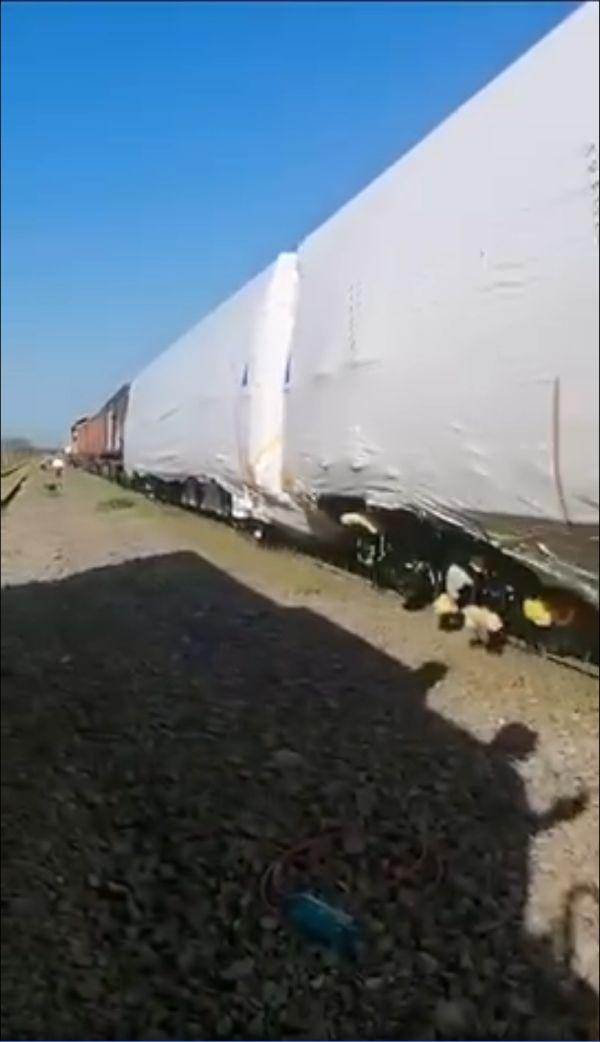 Al doilea metrou fabricat în Brazilia, ajunge în București. Imagini cu trenul Metropolis care va circula pe Magistrala 5 903707