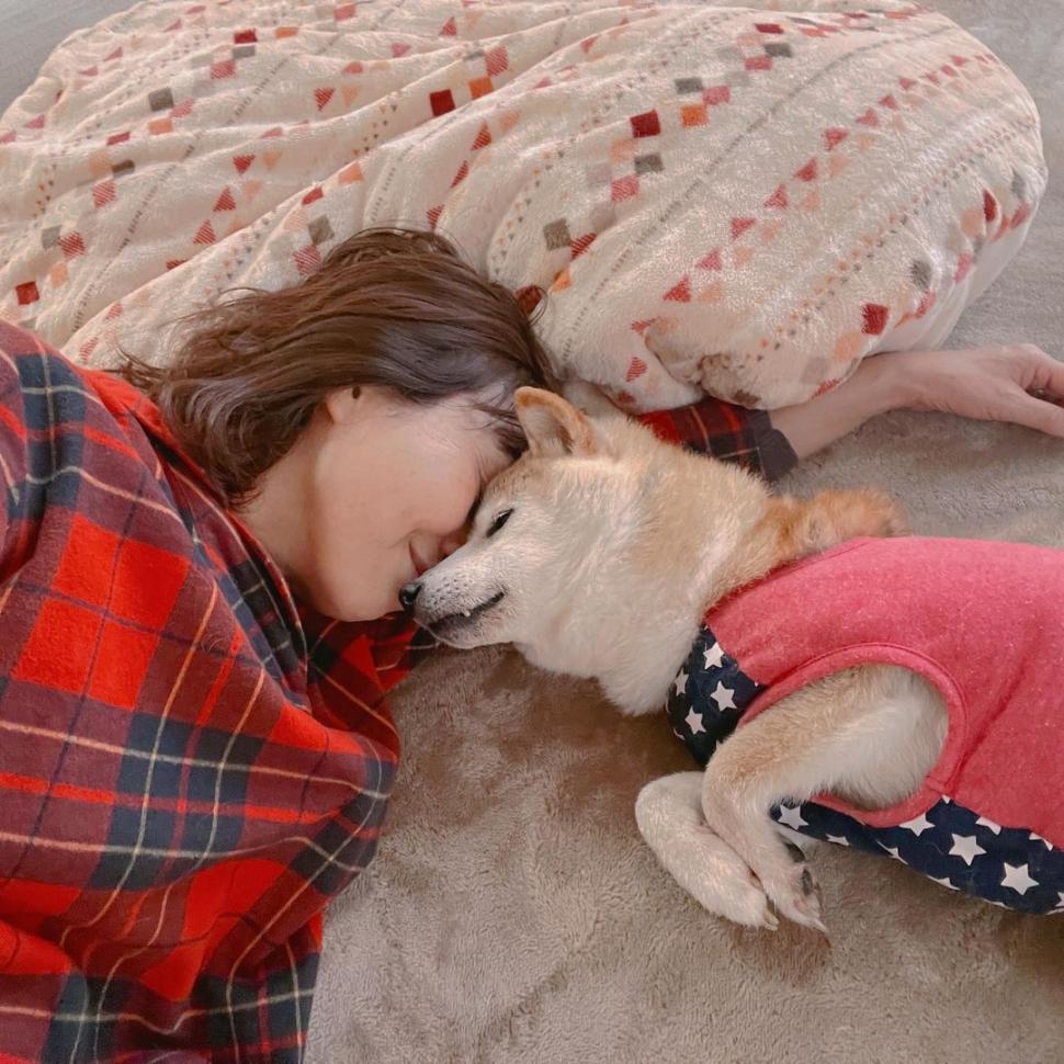 Kabosu, câinele celebru care a inspirat meme-ul "doge", a murit: "A plecat în liniște, ca și cum ar fi adormit" 903971