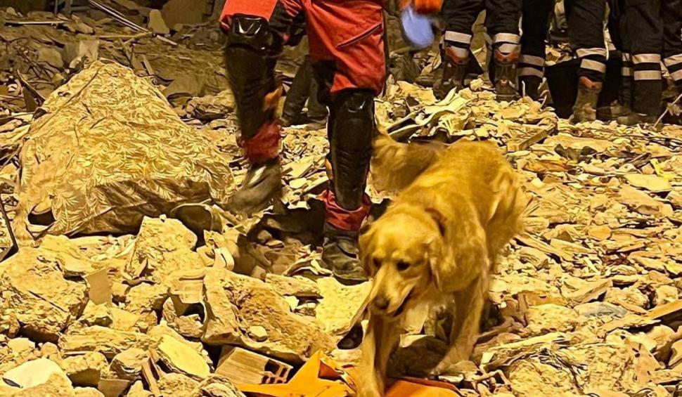 Max, câinele erou la cutremurul din Turcia, și pompierul Rareș Urs au salvat o cățelușă blocată într-o vizuină, după o misiune de opt ore 904204