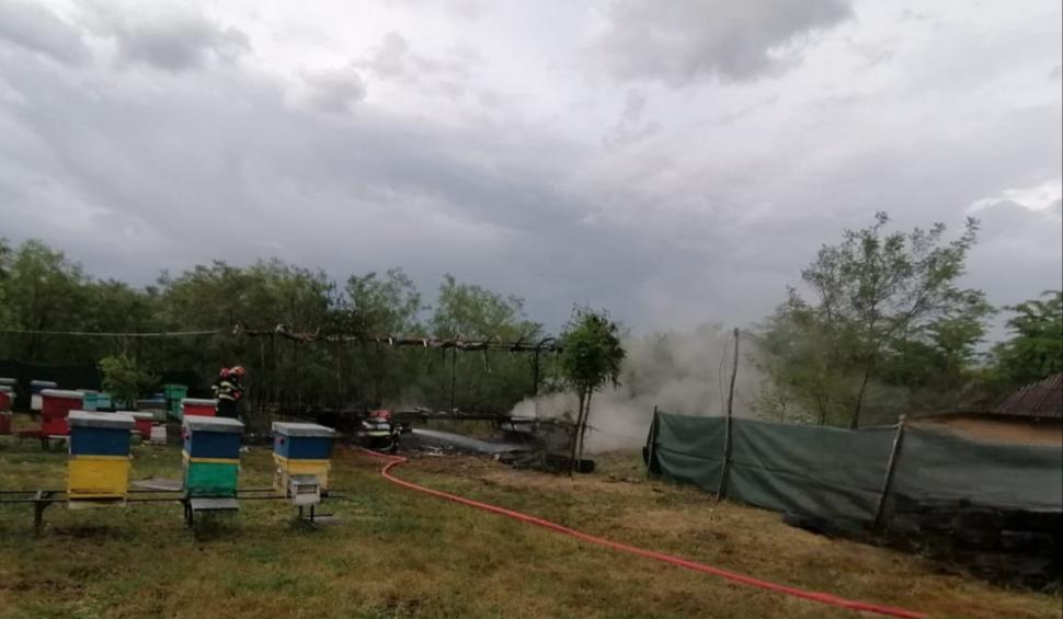 Furtuna face prăpăd în Botoşani. O platformă apicolă cu 20 de stupi a luat foc, după ce a fost lovită de trăsnet 904597
