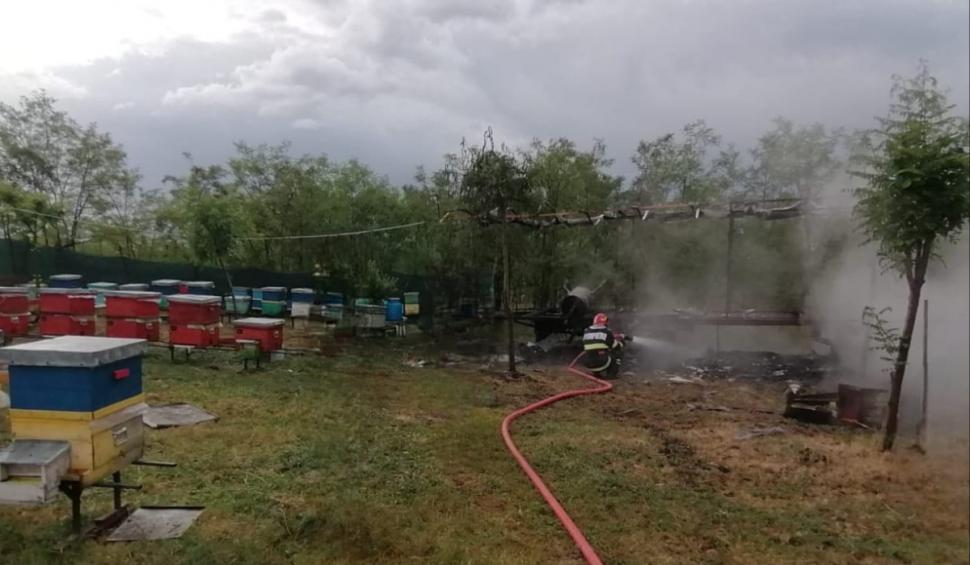 Furtuna face prăpăd în Botoşani. O platformă apicolă cu 20 de stupi a luat foc, după ce a fost lovită de trăsnet 904598