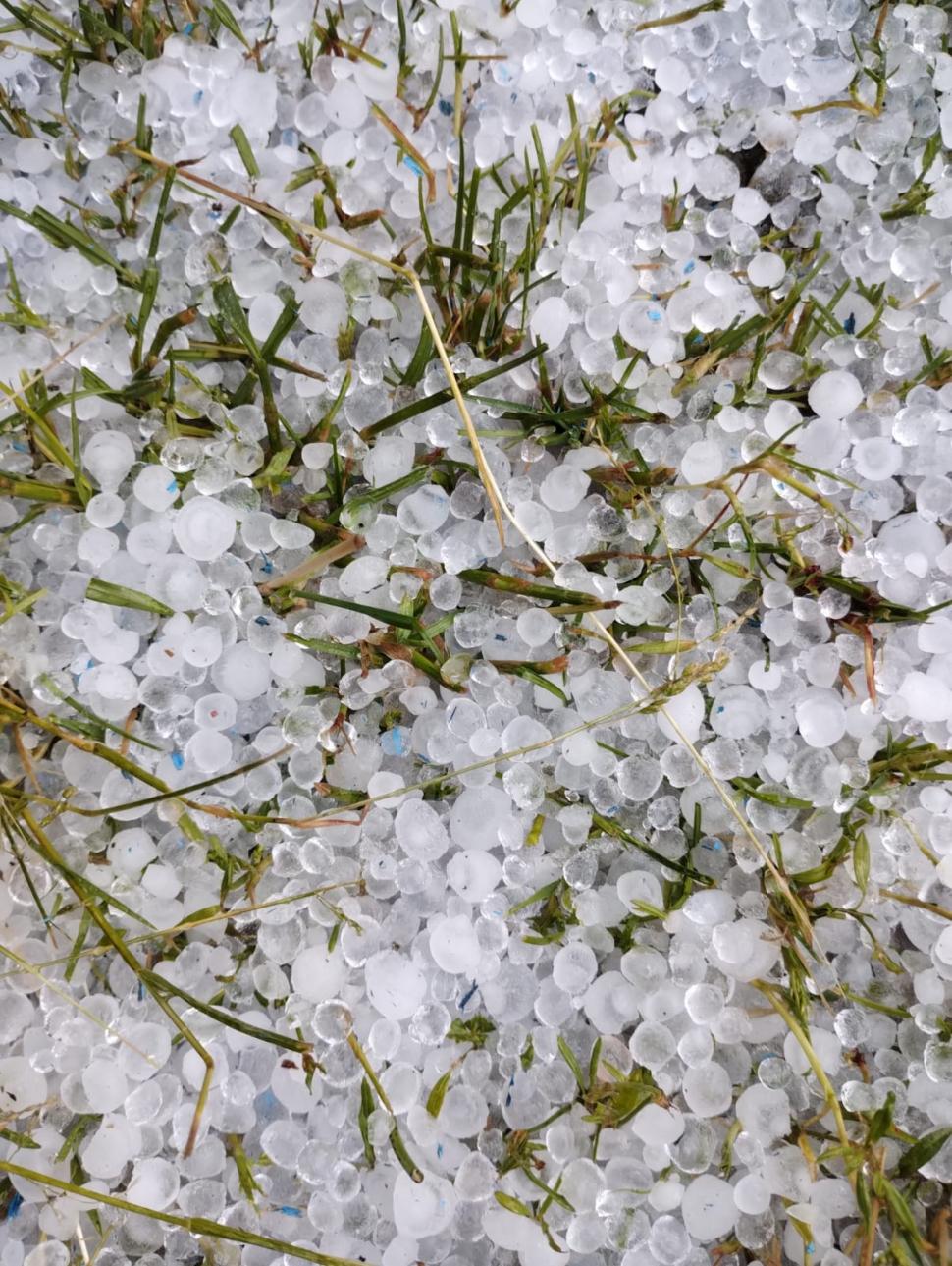 "Gheaţa cât cărămizile. Doamne fereşte!". Vremea rea a făcut ravagii | Zeci de gospodării şi culturi, distruse de grindină 904616