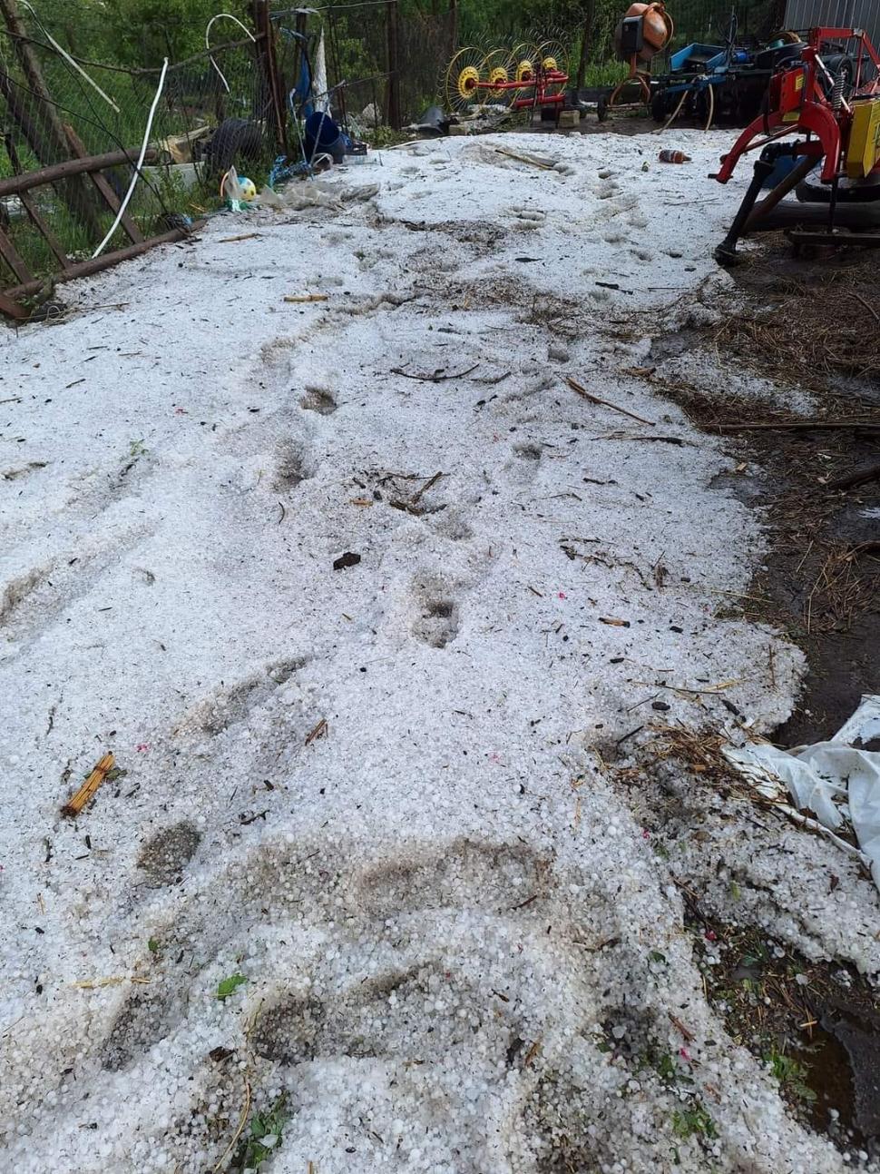 "Gheaţa cât cărămizile. Doamne fereşte!". Vremea rea a făcut ravagii | Zeci de gospodării şi culturi, distruse de grindină 904621