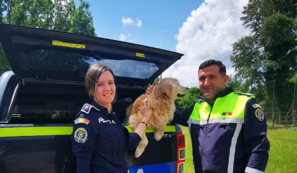 Clipe de fericire la Caraş Severin, după ce un câine pierdut în 2022 a fost găsit şi predat stăpânului său 904939