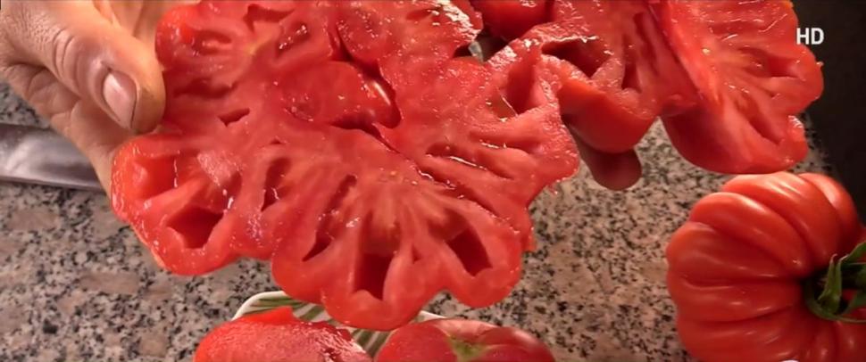 Românul din Tomşani care reuşeşte să producă roşii de o jumătate de kilogram, fără chimicale. "Are 500-600 de grame o tomată" 905303