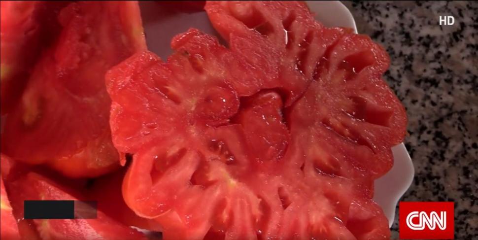 Românul din Tomşani care reuşeşte să producă roşii de o jumătate de kilogram, fără chimicale. "Are 500-600 de grame o tomată" 905304