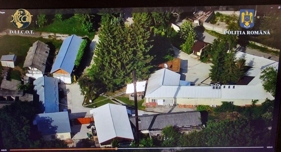 Descinderi DIICOT la gruparea de traficanţi "Iarbă dulce". Şase plantaţii de canabis, descoperite în Dâmboviţa 905423