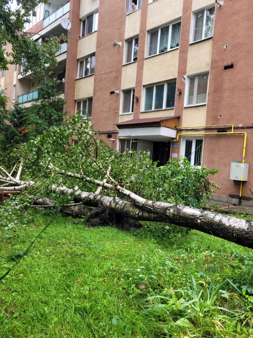 Ploile torențiale și furtunile au făcut prăpăd în mai multe zone din țară. Inundaţii puternice în vestul şi în centrul ţării 905541