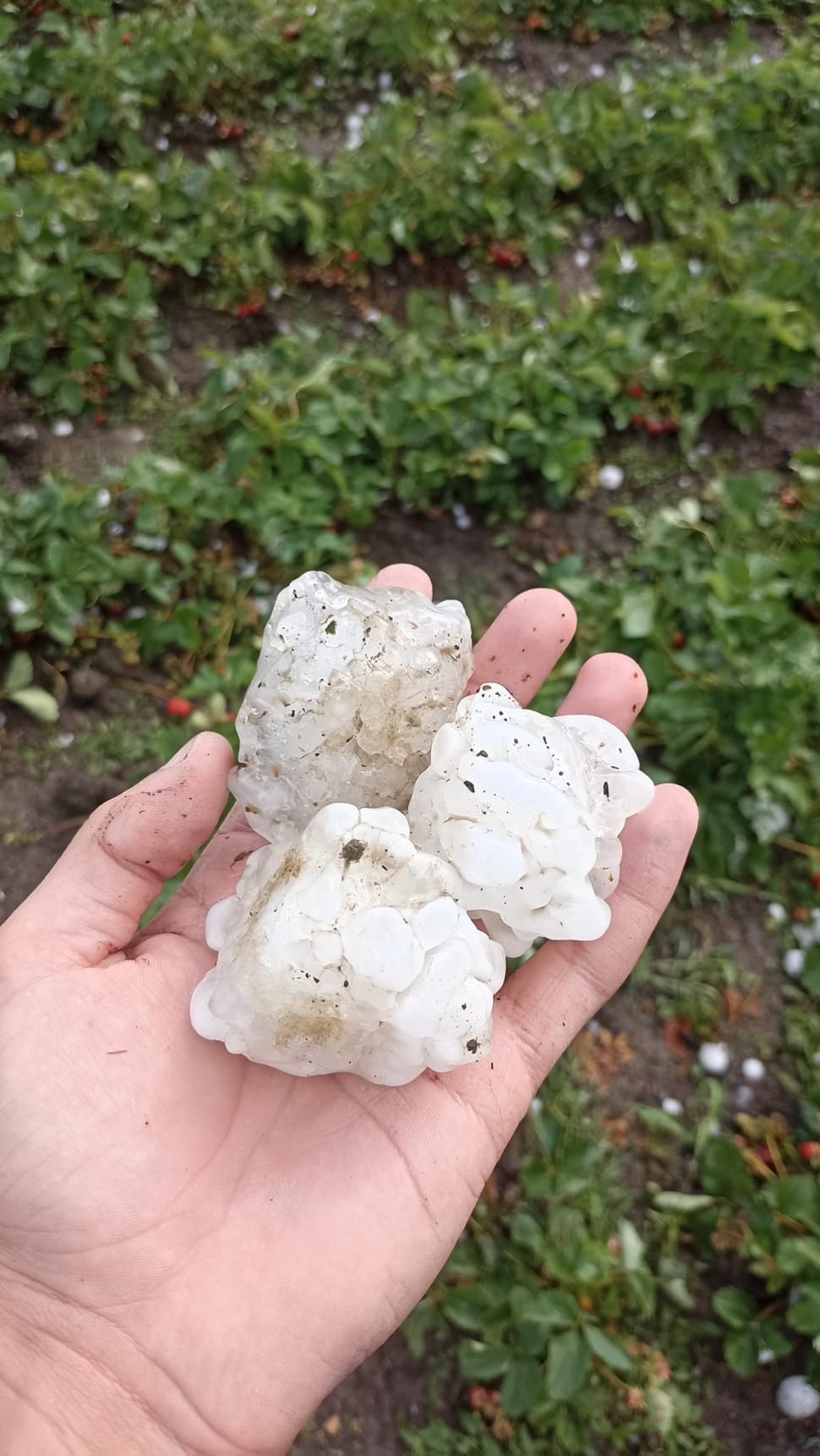 Cod roşu de vijelie şi grindină de mari dimensiuni. Ce zone sunt afectate 905815