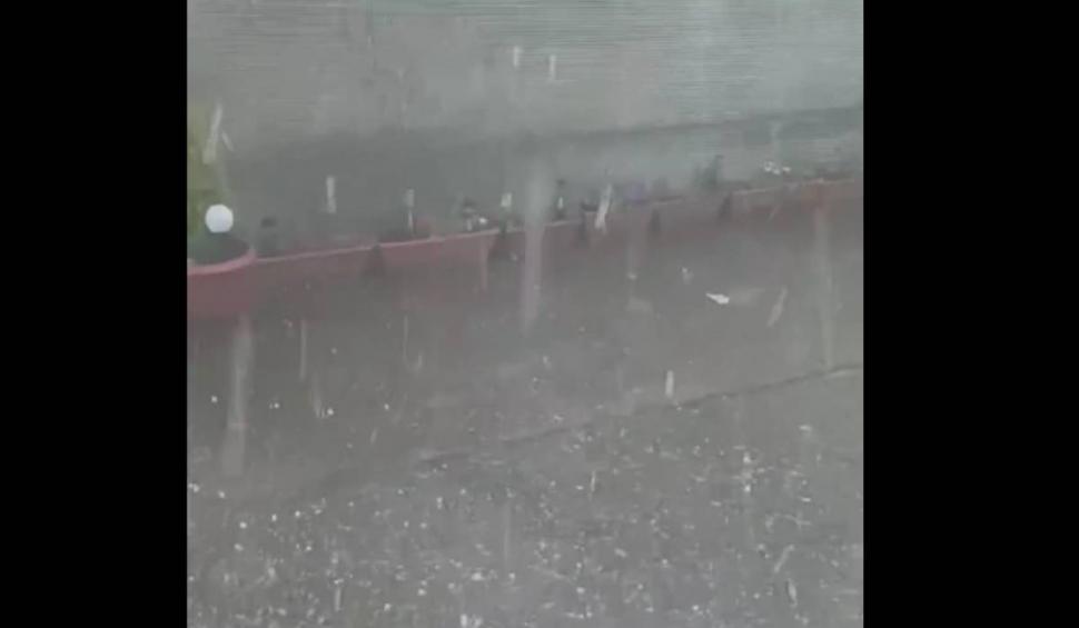 Imagini cu grindina care a făcut prăpăd în țară. Culturile au fost puse la pământ în câteva clipe  905708
