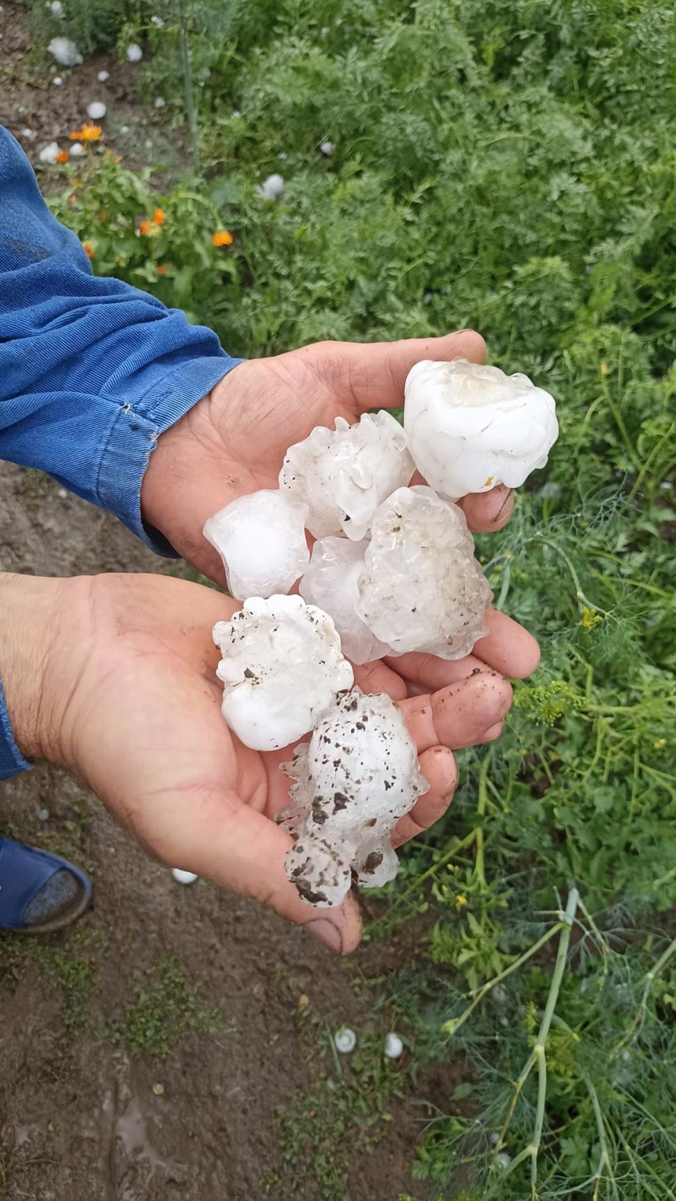 Imagini cu grindina uriașă din Iaşi. Natura s-a dezlănțuit în zona Moldovei: „Era mai mare ca oul de găină” 905777