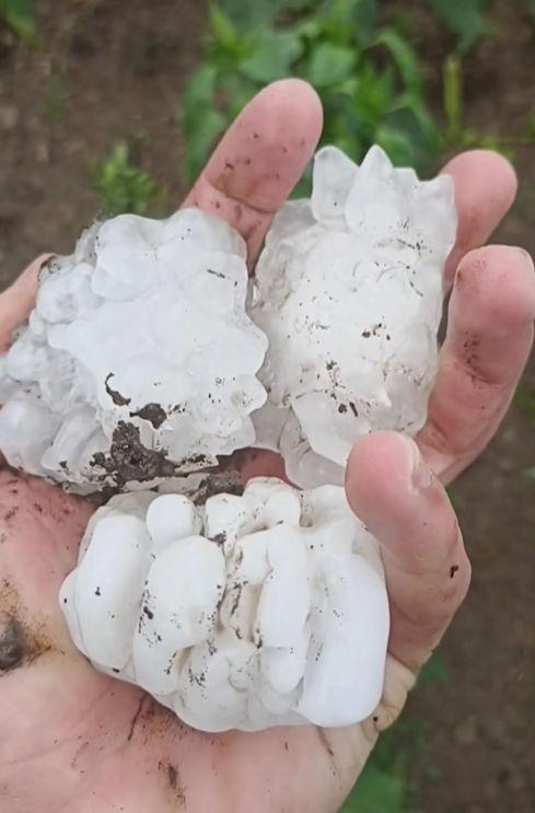 Imagini cu grindina uriașă din Iaşi. Natura s-a dezlănțuit în zona Moldovei: „Era mai mare ca oul de găină” 905780