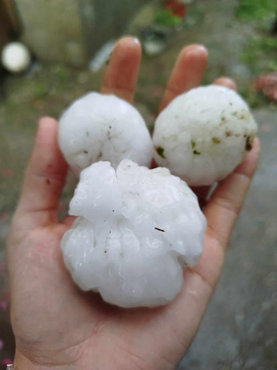 Imagini cu grindina uriașă din Iaşi. Natura s-a dezlănțuit în zona Moldovei: „Era mai mare ca oul de găină” 905784