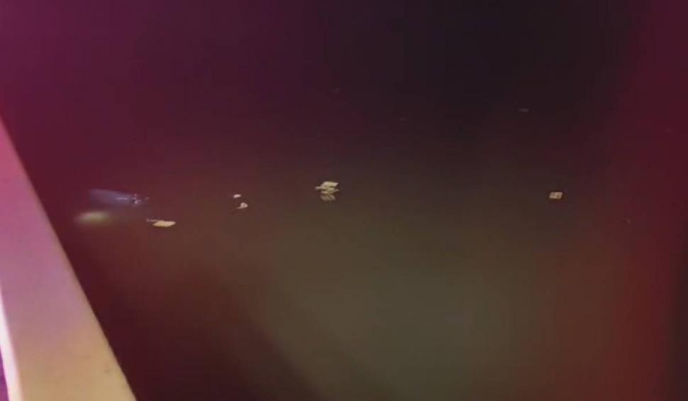 Un TIR a căzut în Dunăre, după care a explodat, în zona viaductului Bahna din Mehedinţi. Şoferul a fost găsit mort, după ore în șir de căutări 905605