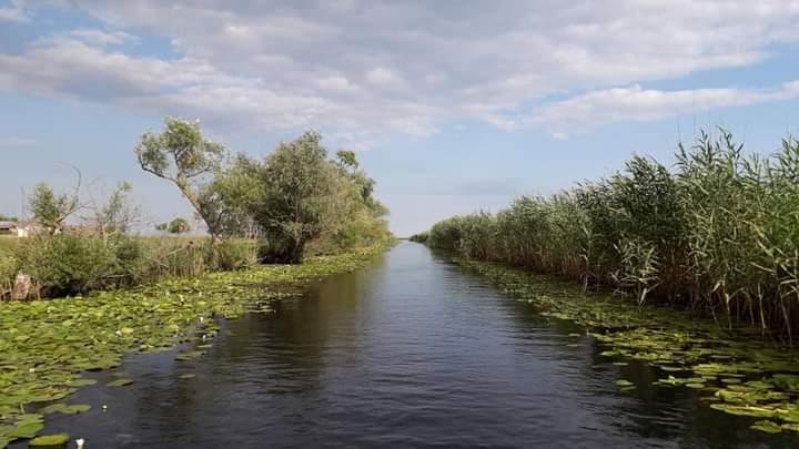 Ce poți vizita în Delta Dunării, dacă nu mergi la pescuit 906232